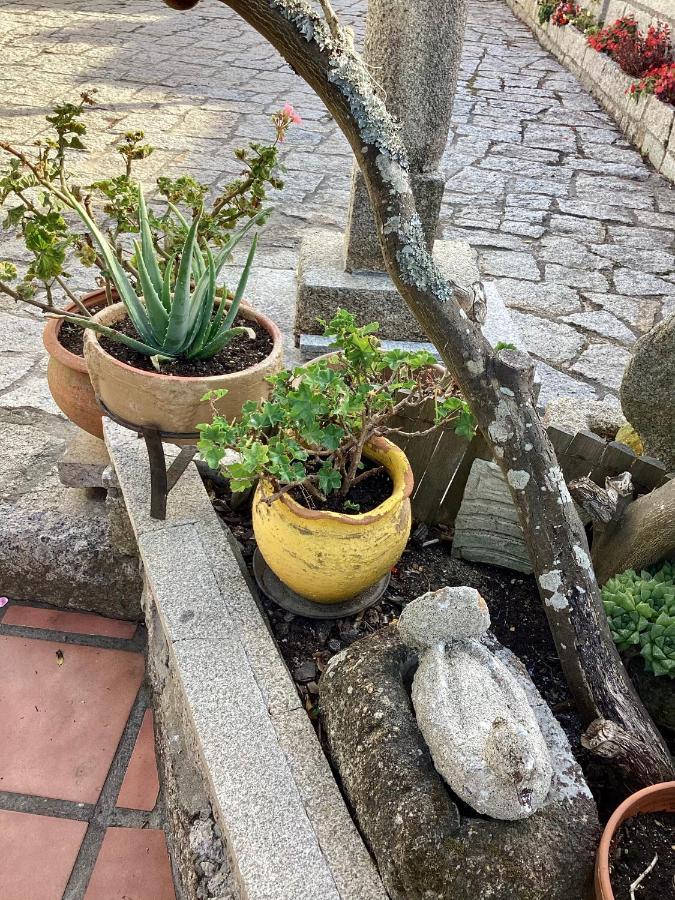 Atico Con Terraza Leilighet O Grove Eksteriør bilde