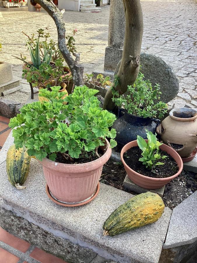 Atico Con Terraza Leilighet O Grove Eksteriør bilde